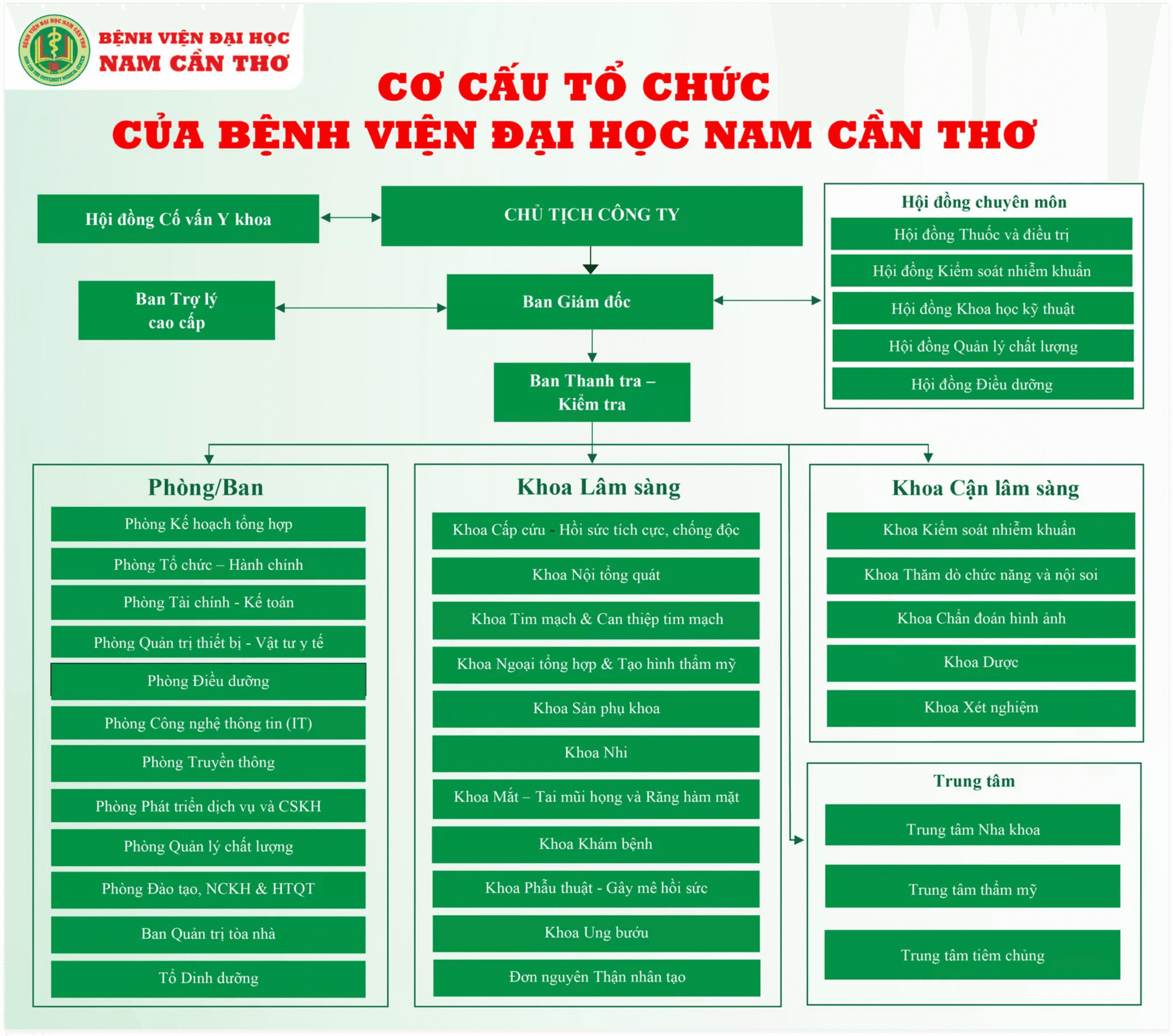 Sơ đồ Cơ cấu tổ chức Bệnh viện Đại học Nam Cần Thơ